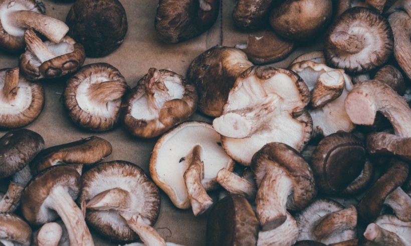 shitake