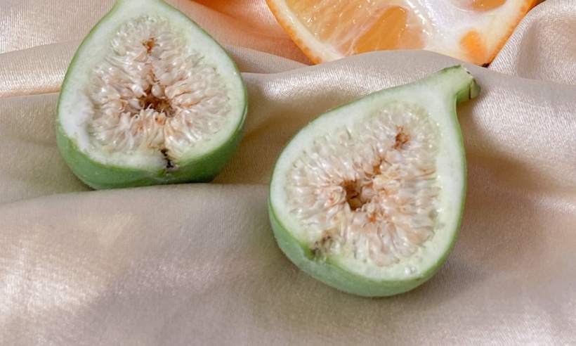 healthy vagina