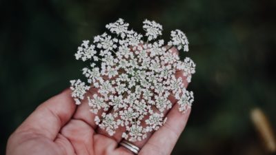 bacterial vaginosis