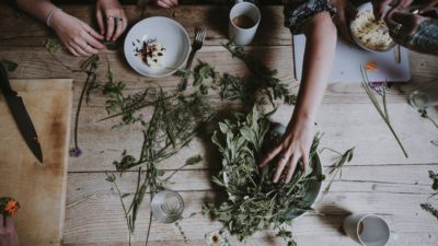 adaptogens