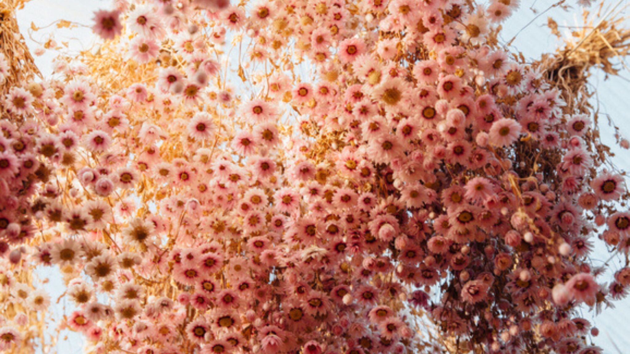 High Estrogen What It Means and What You Can Do Aviva Romm, MD